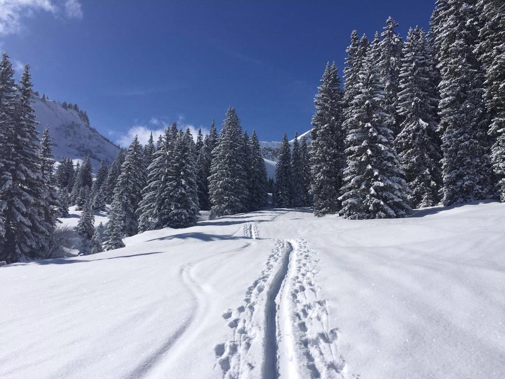 Der Tannenhof Reutte Exterior foto